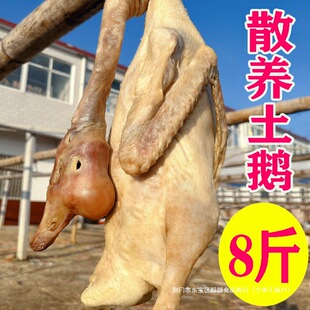 ��������Z�����������Z�D�Z�r��ɢ�B���B�L���Z�ۿh�ֹ����Ʋ��Z