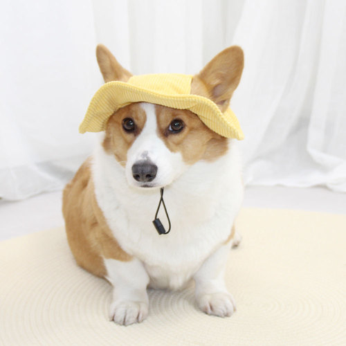 Pet it cute dog hat with exposed ears, pet fisherman hat, sunshade dress, corgi, sunscreen, little yellow hat, Amazon