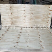 CDX Plywood 辐射松芯酚醛胶三胺胶建筑用胶合板墙面用