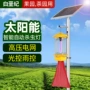 频振式防水直流果园诱虫灯