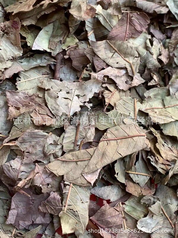 Chinese Medicinal Materials, Guava Leaves, Chinese Medicinal Materials, Chicken Leaves, Tea Leaves, Guava Leaves, Hemp Leaves, Heart Leaves, Guava Hearts