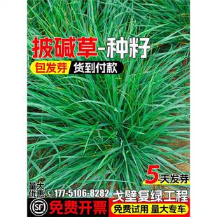 ���|�ݲ����o�¹�����ڏ;G�N�����}���|��ݱ�����æ����ƺ�N��