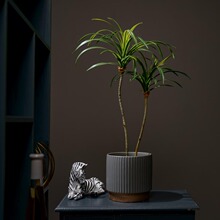 ���Wins�L����С�Gֲ�辰�҃ȿ͏d�����䁷��������b��������z