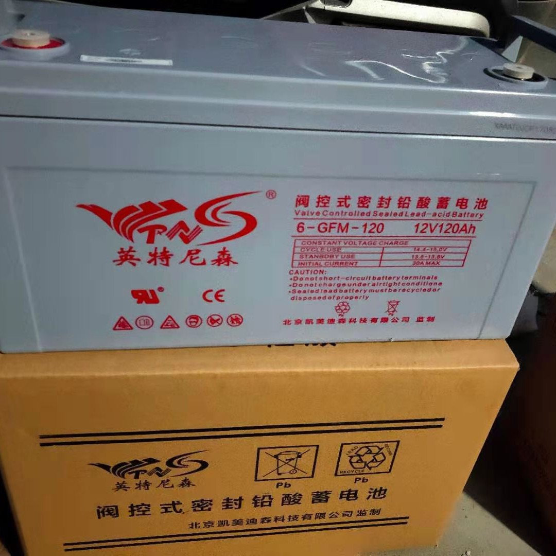 英特尼森6-GFM-120阀控式密封铅酸电池(12V120AH)通讯机房UPS蓄电