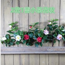 �羳����ѷ��������ɽ�軨���滨�Ҿ�װ�ξ�ٻ������쾰����