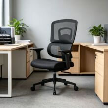 ZSBW003B ��ɫ���w���W�k���� ͸��W�������o�� �����������D
