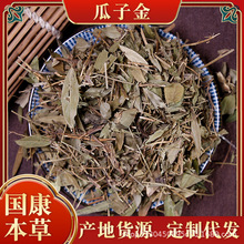 瓜子金 批发金不换金锁匙产后草辰砂草 冷背药材一件代发甘草