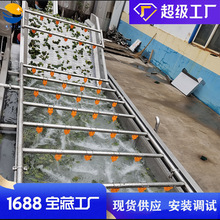 预制菜清洗机 全自动喷淋桑芽菜漂洗设备 传送式山野菜清洗加工线