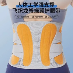飞织龙脊蝶翼护腰带稳固训练收腹护腰固定带中老年钢板支撑固定带
