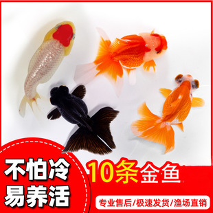 ������~���~�^�p�~С�͵�ˮ�������B����ˮ�~�{���^�m���~��