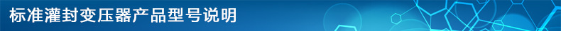 标准灌封变压器产品型号说明.jpg