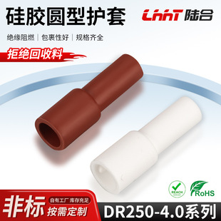 ����dr250-4.0�A���o�׶����o�׹��z�Ӻ�^���o�׾��|���^���o��