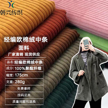 经编欧棉绒中条灯芯绒面料适用棉服棉裤家居服运动服夹克衬衫裤子