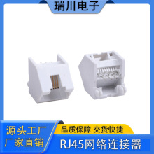 WR40086 RJ45���������� ����ֱ�� ����������