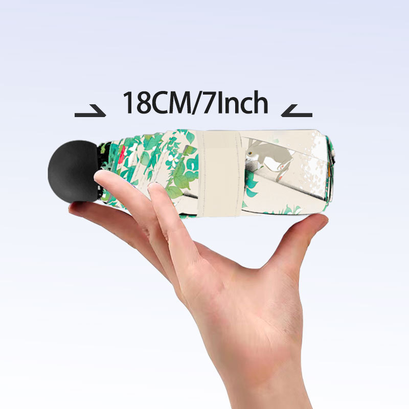 ɡ߿ڴɡ۵ڽɹɱЯɡŮ