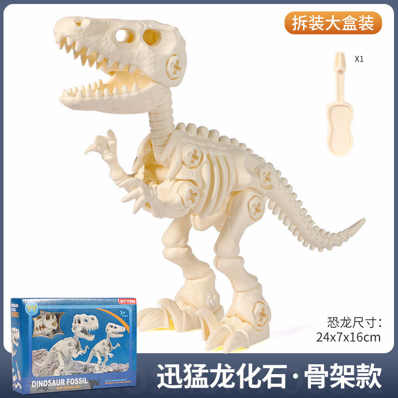 Raptor skeleton (window box)