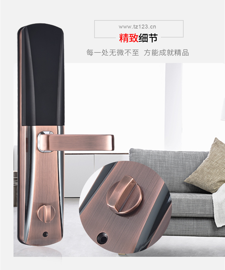 详情8