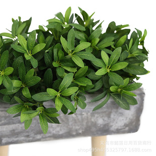 ����Gֲ����5����N�~�_�h�������~ֲ����b���~�S�����l