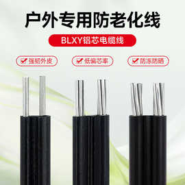 铝芯防老化电线 国标铝线2芯 6 10 16 25 35平方平行集束导电缆线