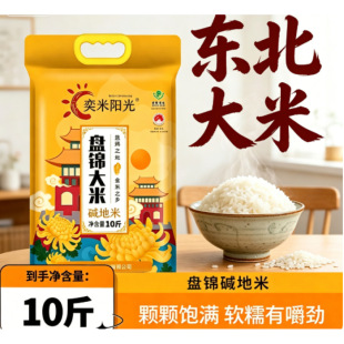 ����ꖹ����10����հ��b�������ױP�\�|����5kg�|��2025������