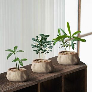 ���u�_�h��ָ��΢�������k���҃����愓������Ĵָ���BС�辰�ļ�