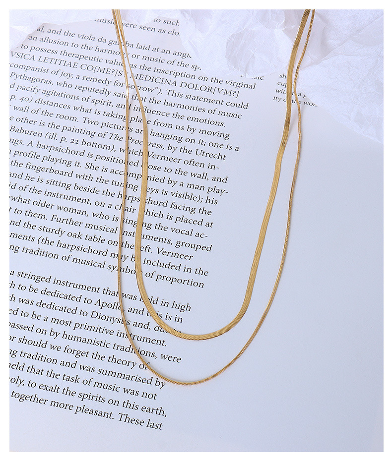 Plating Design Retro Style Double Layer Snake Bone Chain Necklace Titanium Steel Jewelry