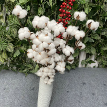植物木棉棉花枝 DIY花束装饰道具 5头7头干花棉花 假花摄影道具