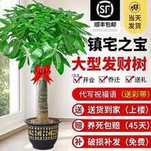 lؔ͏d҃ȴ;GֲBլk҆w_IͶYֲ