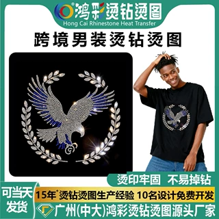 跨境烫钻图案贴衣服烫钻图案贴不掉钻超闪水钻烫钻 胸花贴 烫图