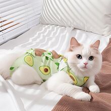 ؈��^���������g��؈ĸ؈���g������ë͸�ⱡ��؈؈���̷��o��