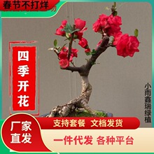 һlļĻԘذ껨辰Ϙ̨҃ͥԺ׻_