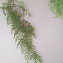 ��˹�~�������~���ٱ��W�ҾӘӰ��gֲ��b�c��������ֲ���