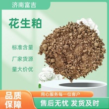 ������ ������ϵ������ˮ�a���ﻨ����