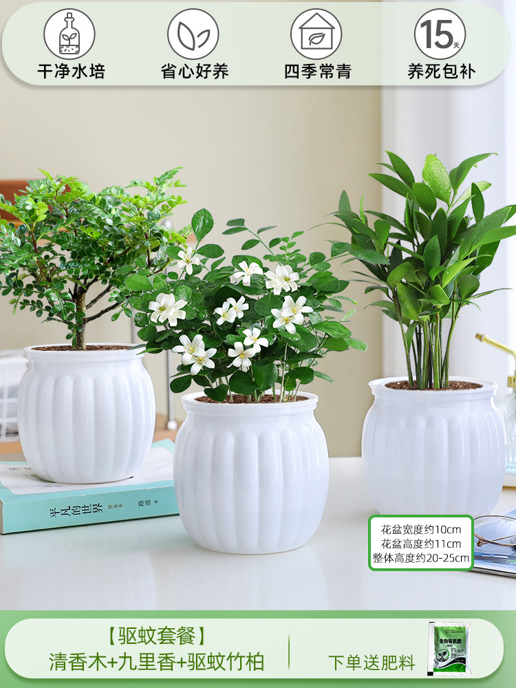 [모기퇴치 패키지] 향나무 + 구리향 + 모기퇴치대나무와 편백나무