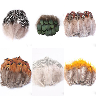 �x����ë6�Nһ��Ұ�uë���l�ֹ�DIY���b��Ʒ�����W�������