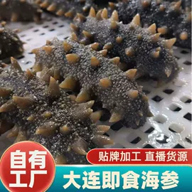 海参