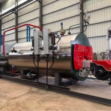 WNS��ȼ�͚�����偠t ��ʽ���س�ȼ�� ���ܭh�� ȼ������偠t