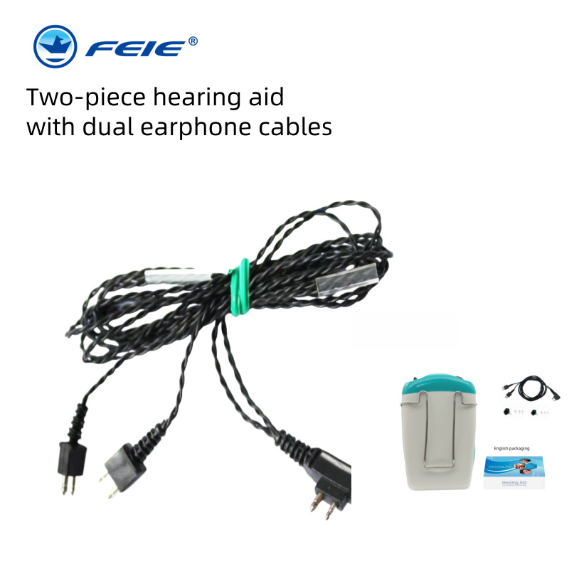 Earphones