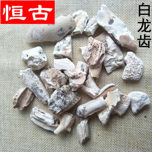 ��ș�����l���X �����X �����X ��Ʒ ����r��