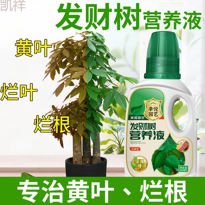 发财树营养液肥料专用肥治叶子发黄叶烂根室内盆栽植物花肥通