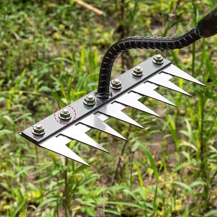 2024-06-07 13:31:28.jpg