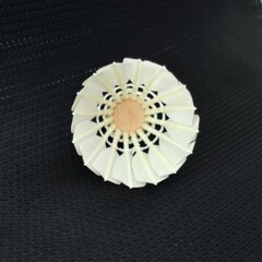 ガチョウの毛がまっすぐに伸びています。ボール娯楽局の訓練用ボールメーカーの直売商品の供給源は安定しています。