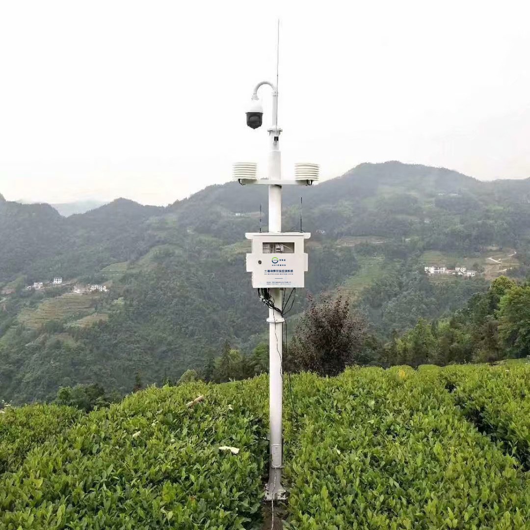 2024-03-26 14:29:59.jpg