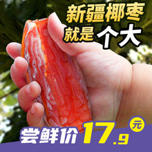 ���������������Ҭ���S��Ҭ���ؼ�Ү��������½�����ɳ���خa��