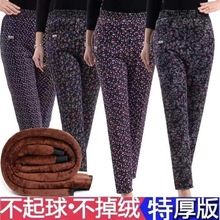 驼绒棉裤女冬季高腰加绒加厚加肥加大宽松中老年保暖裤三层奶奶裤