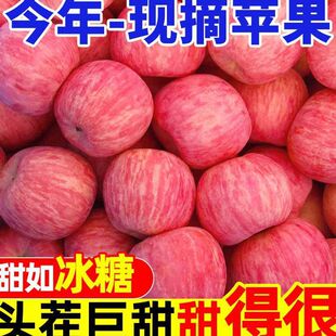 �����ʿ�O�����rˮ���������l�����O���t��ʿˮ���زɺõ���]�S