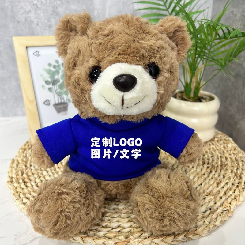 公仔小熊换衣服T恤校服毛衣娃娃毛绒玩具玩偶来图来样印制logo|undefined