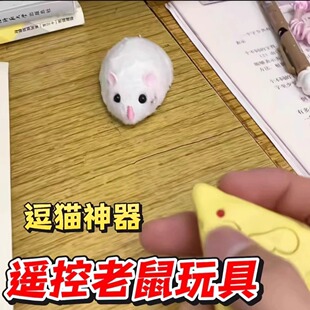 Remote Control Mouse Infrared Black Technology Small Toy Simulation Electric Students Fish in Class Children's Day Gift