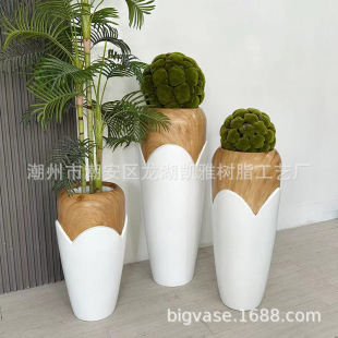 ���W�����ľ�y��ش�ƿ�Ƶ�ͥԺ�̈��G���[�O���滨�Gֲ����