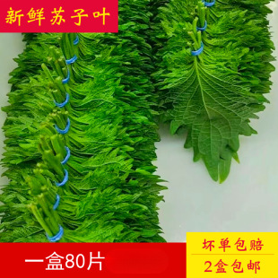 ���rʳ�����K�~ ���K�~ ���~ �ձ��K���~ �Ƶ� ��S�l؛ 80Ƭ